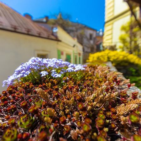 Penzion U Hradku Kutna Hora Ngoại thất bức ảnh